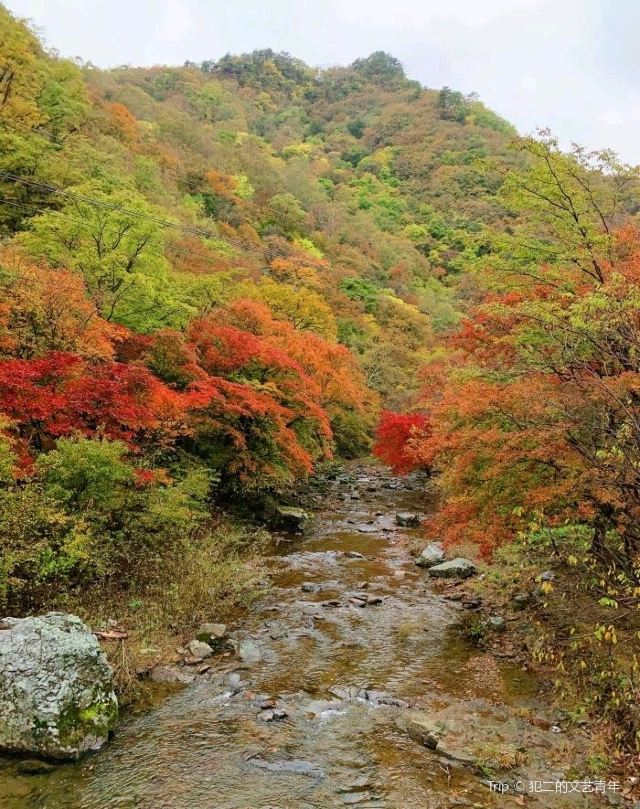 양호구