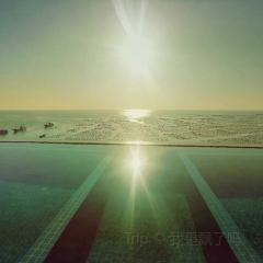 Goqi Island Quan Mo Ye Bei Sea View Restaurant User Photo