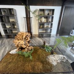 走马楼溪上 User Photo