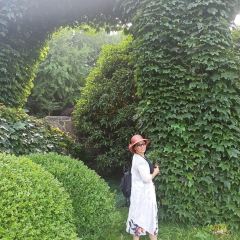 哥伦波太湖城堡下午茶餐厅 User Photo