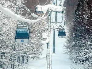 Aomori Spring 青森春天滑雪場