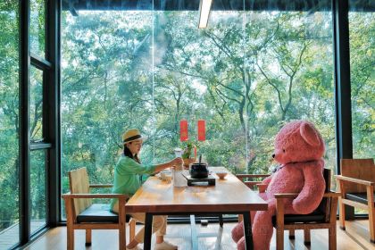 鸟鸣涧野生菌森林餐厅