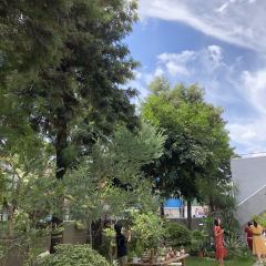 幸會張用戶圖片