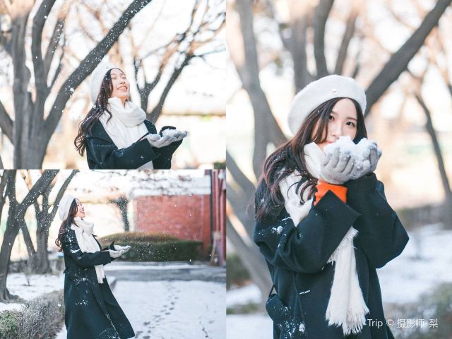 아사리