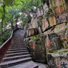 Tsuzumi User Photo
