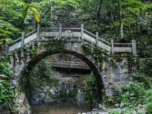 Jigong Mountain Primeval Forest