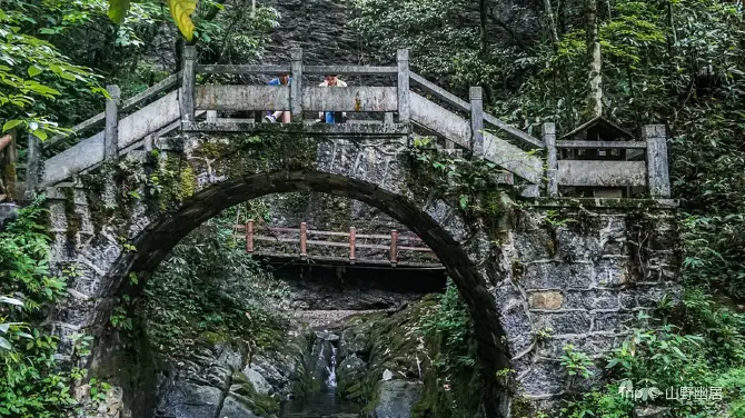 雞公山原始森林