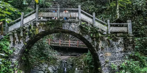 雞公山原始森林