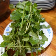 河婆擂茶 User Photo
