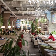 terassa Lounge-cafe User Photo