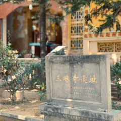 Zammai張用戶圖片