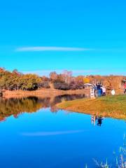 Kiosk, Princess Lake