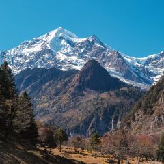 俊平你好 ảnh của người dùng