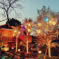 丽景寻鲜(古城丽影店) User Photo