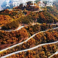 黄土高坡(晋绥东路店) User Photo