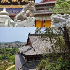 Zammai張用戶圖片