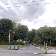 Hyde Park User Photo
