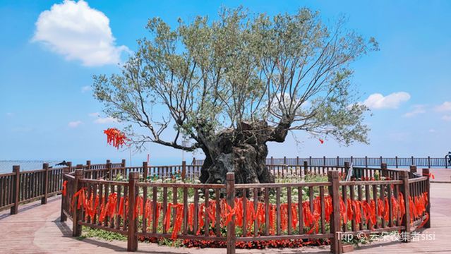 jin tang xian gong jia shan guan jing tai