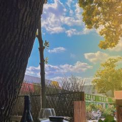 龍鳳麵館張用戶圖片