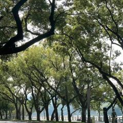 OFT常常張用戶圖片