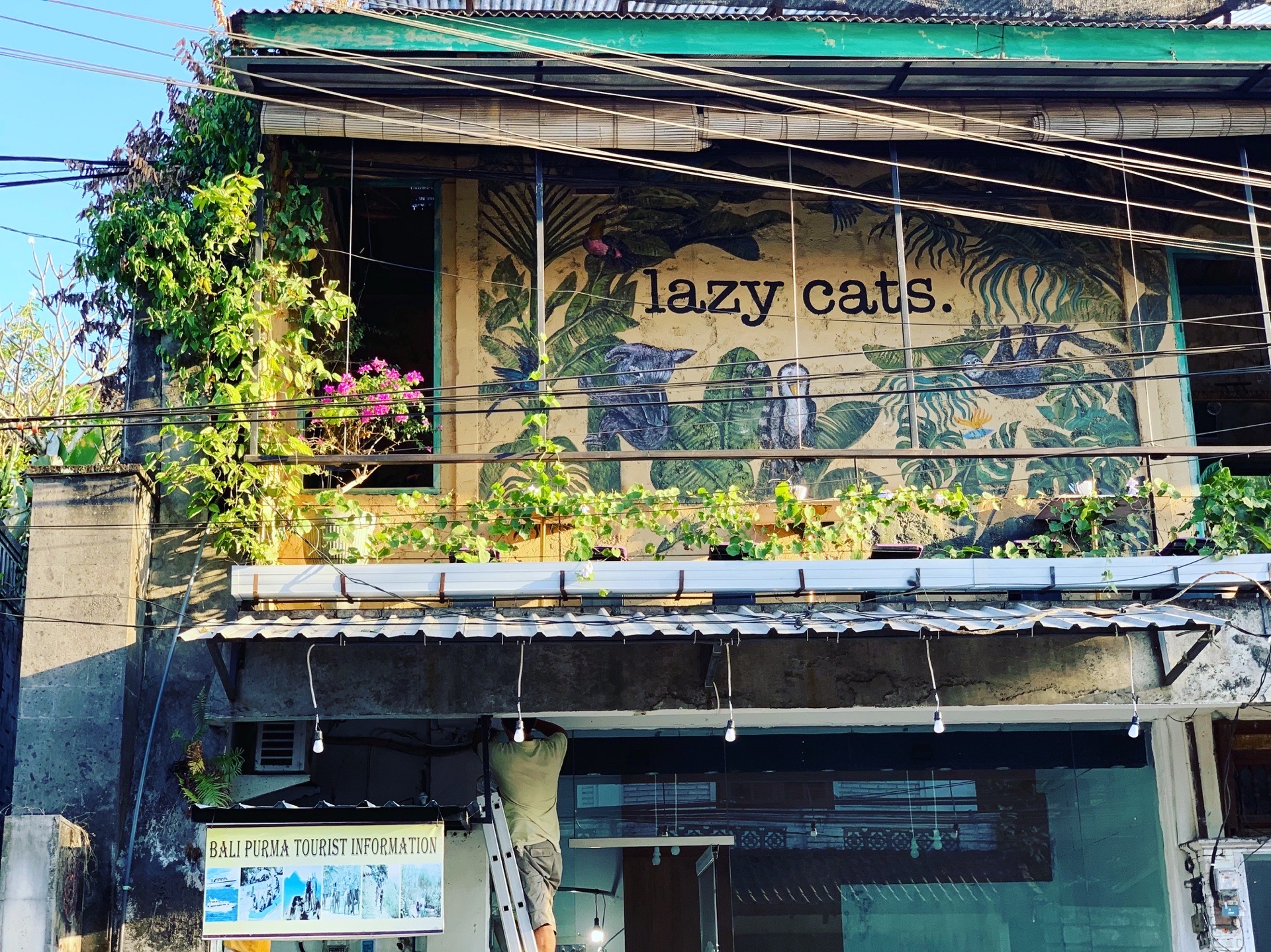 Lazy Cats Cafe restaurants, addresses, phone numbers, photos, real user  reviews, Jl. Raya Ubud no. 11 | End of Mainroad Ubud, Direction to Museo  Blanco, Ubud 80571, Indonesia, Bali restaurant recommendations - Trip.com