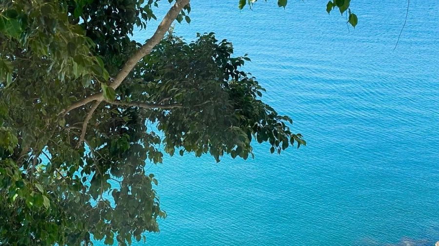 Gangfengtangcha Restaurant (shenzhenwankou'an)