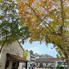 金魚媽媽山野•食趣（蔭山街店）張用戶圖片