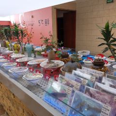 Tongchengwenquandajiudianhexiang Seafood Food User Photo