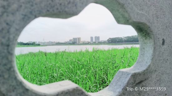 明湖公园，通过治理水域资源，湿地生态修复，建造人文景观，建设