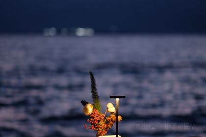 DREAM ISLAND Restaurant