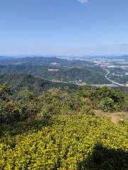 黄埔油麻山森林公園