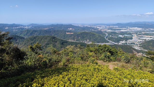 Yau Ma Shan Forest Park, Huangpu