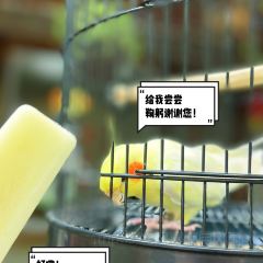 古堰名小吃·文庙面馆 User Photo