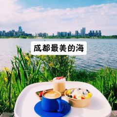 Indeed Cafe 硬地 User Photo