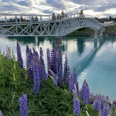 lake tekapo tavern張用戶圖片