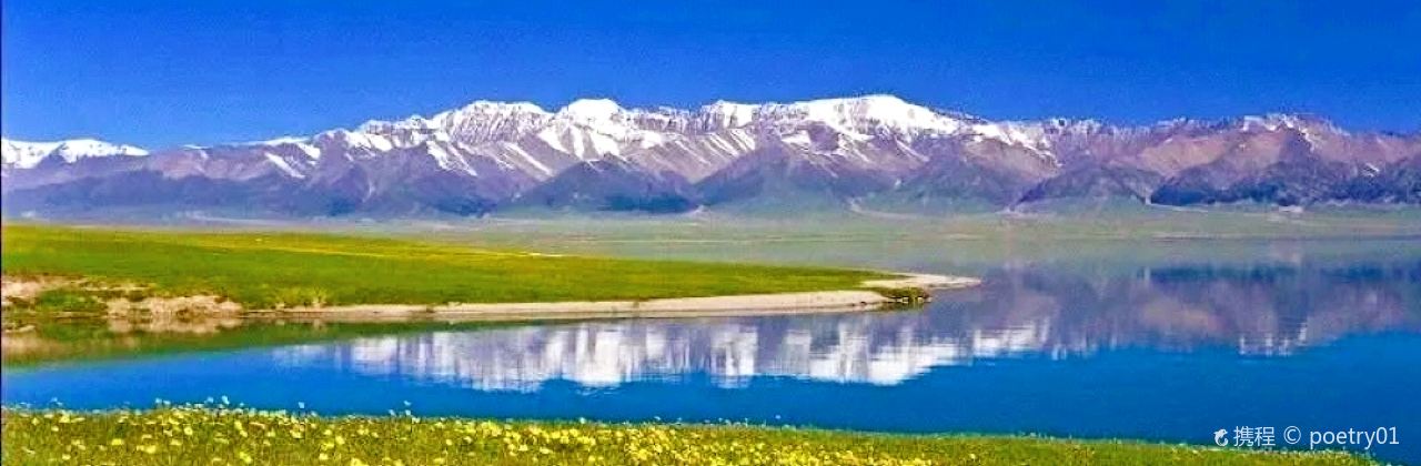 赛里木(育新街店)