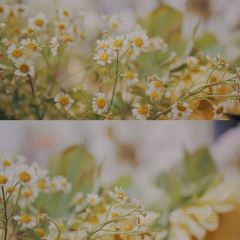 馥约花艺咖啡 User Photo