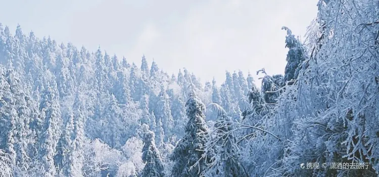 雲冰山咖啡屋