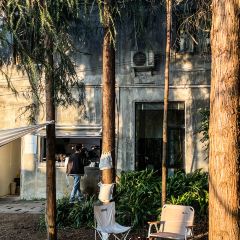 Wild Coffee Studio User Photo