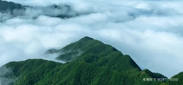 清真北阳山第一农家乐