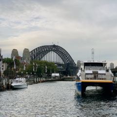 The Tea Cosy User Photo