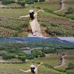 Xinlongshengtaiyuan User Photo