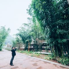竹福苑酒家張用戶圖片