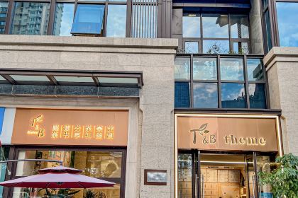 T&B THEME(商业中心店)