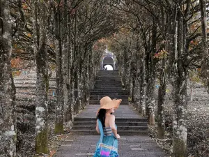 中華プーアル茶博覧苑