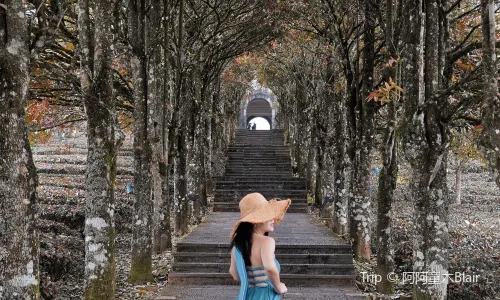 China Pu-Erh Tea Exhibition Garden
