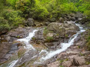 大奇山國家森林公園