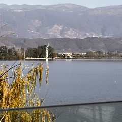 櫻花屋音樂餐吧張用戶圖片