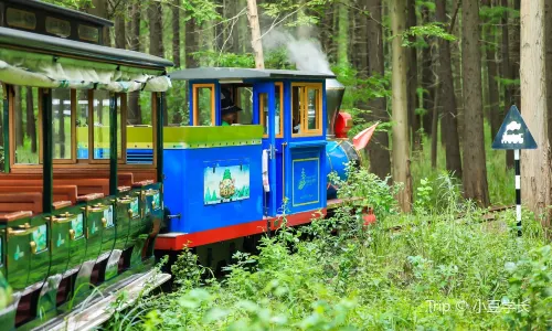 Golden Lake Water Forest Scenic Area