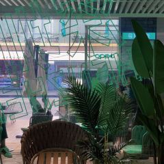 大叔的茶張用戶圖片